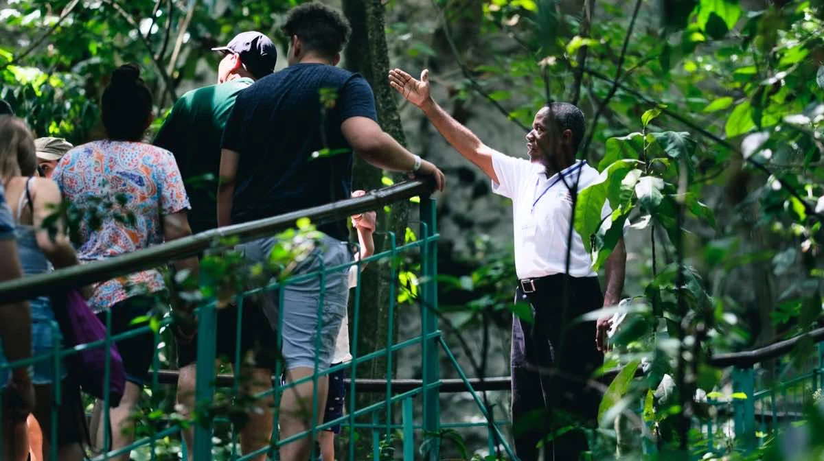 Tour Zona Colonial de Santo Domingo desde Punta Cana